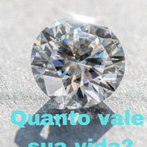 Quanto vale sua vida?