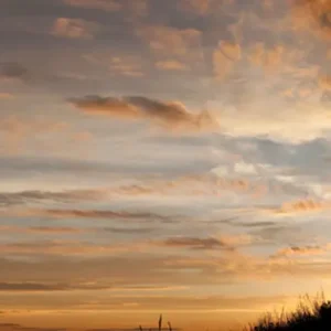 O Fruto do Arrependimento