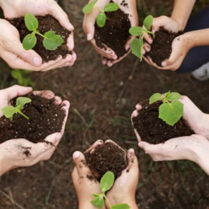 A última Ordem de Jesus, A primeira a obedecermos